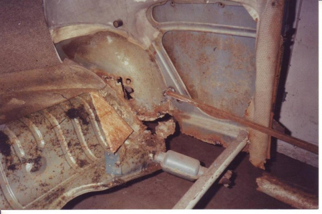 rost.vb.jpg