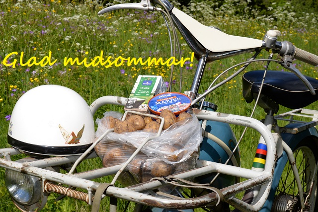 glad midsommar 640.jpg