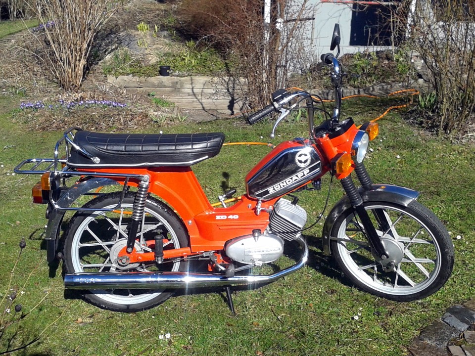 Vårfin (Custom).jpg
