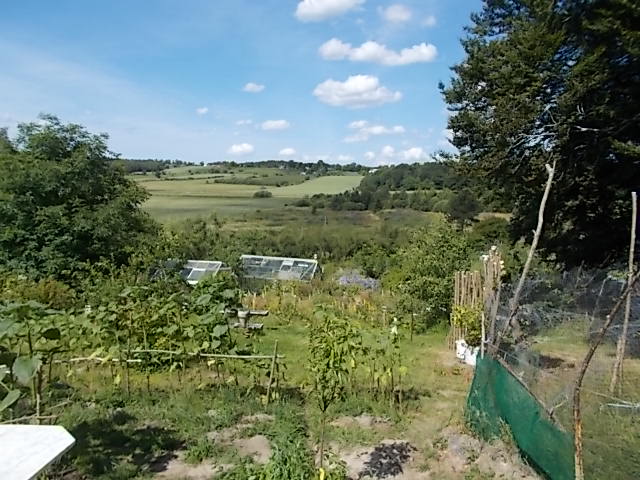 DSCN5468.JPG