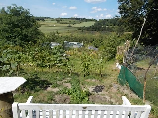 DSCN5469.JPG