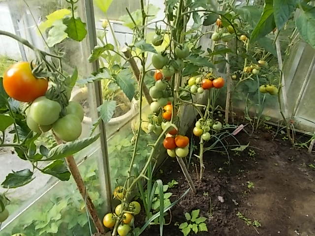 DSCN5477.JPG