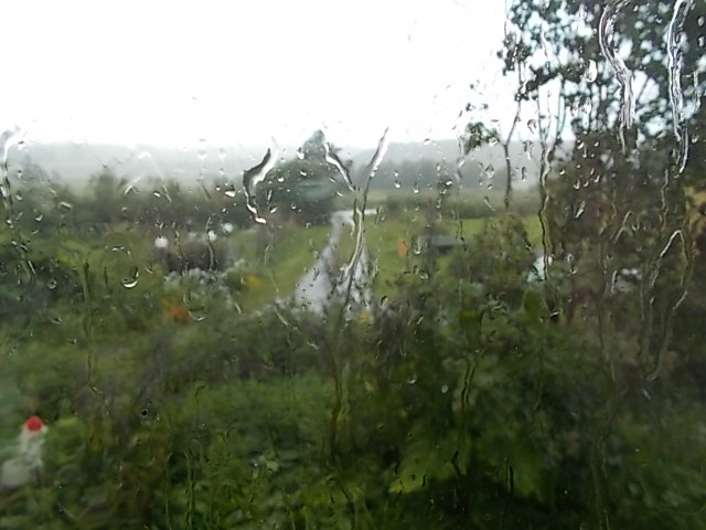 DSCN5487.JPG