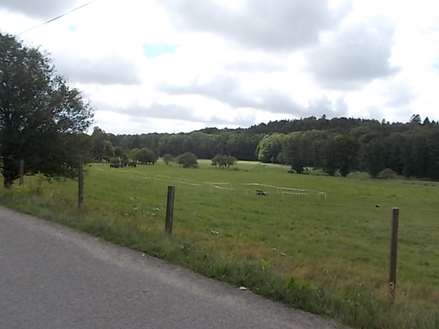 DSCN5495.JPG