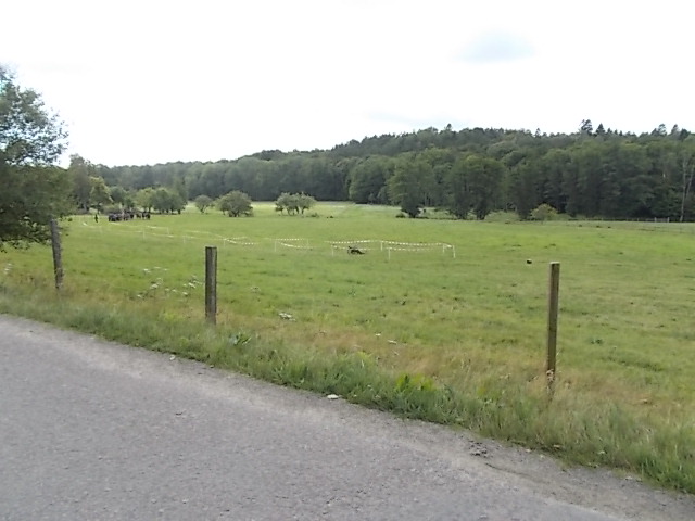 DSCN5496.JPG
