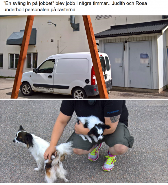 wp_ss_20170810_0001 (2).png