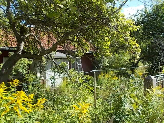 DSCN5500.JPG