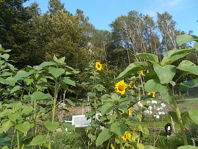 DSCN5506.JPG