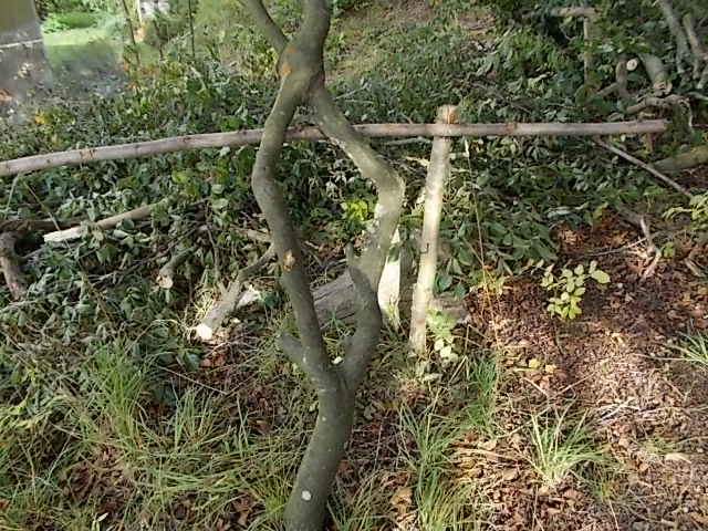 DSCN5525.JPG