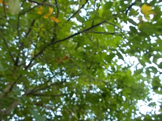 DSCN5549.JPG