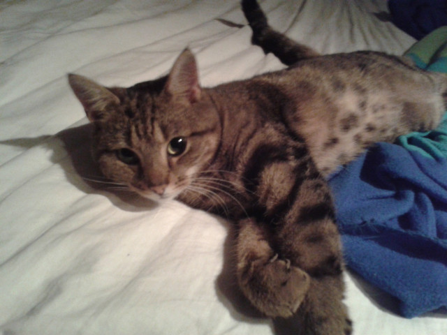 20120921_061557.jpg