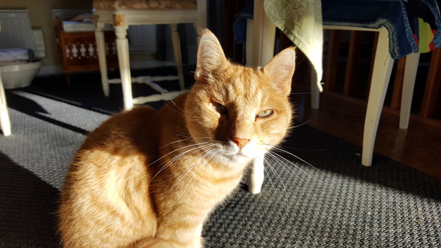 20171103_100415.jpg