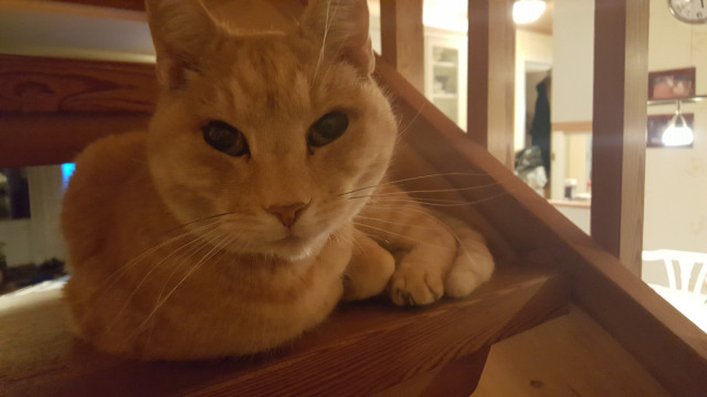 20171115_173907.jpg