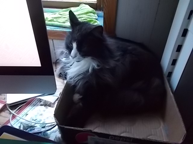 DSCN5728.JPG