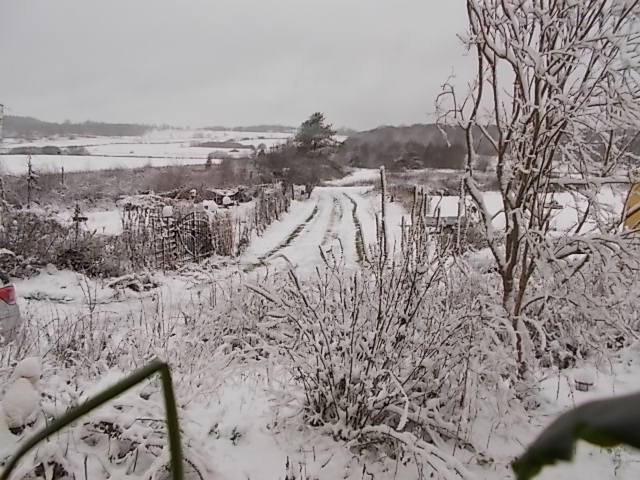 DSCN5729.JPG