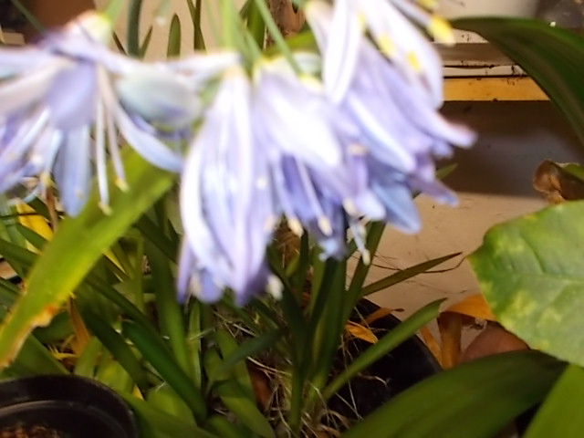 DSCN5734.JPG