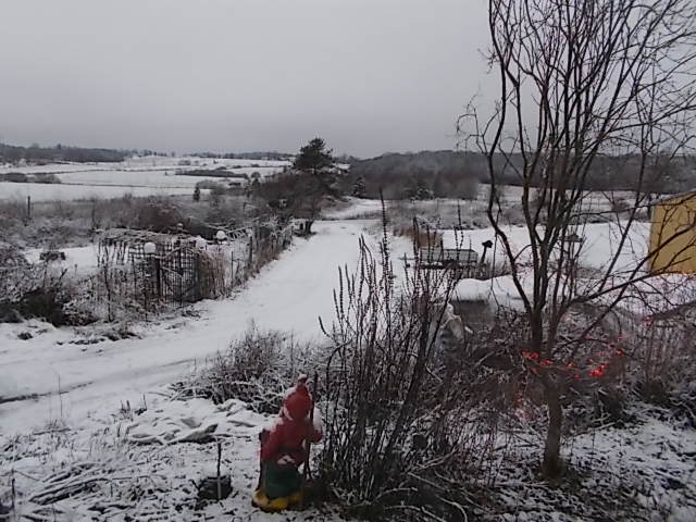 DSCN5752.JPG