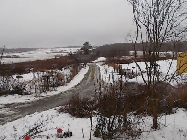 DSCN5808.JPG