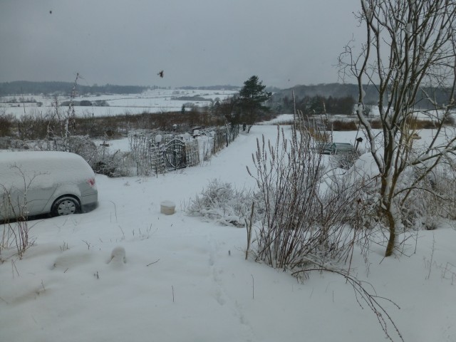 P2060589.JPG