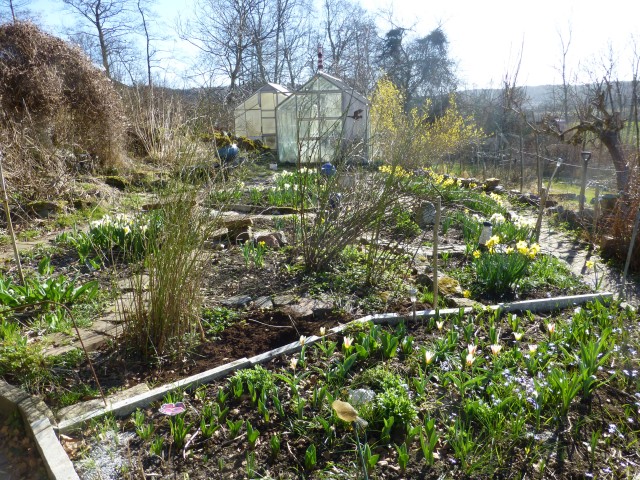 P2060620.JPG