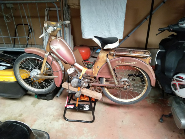 moped.jpg