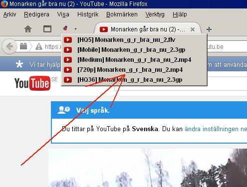 monark.jpg