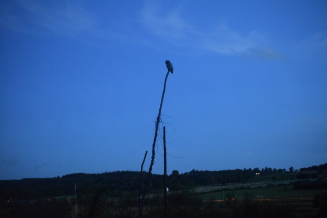 thumbnail_DSC_1915.jpg