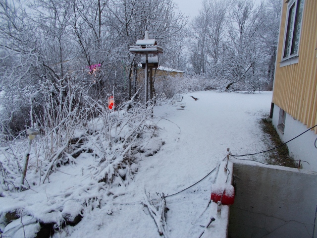 Snö 002 (640x480).jpg