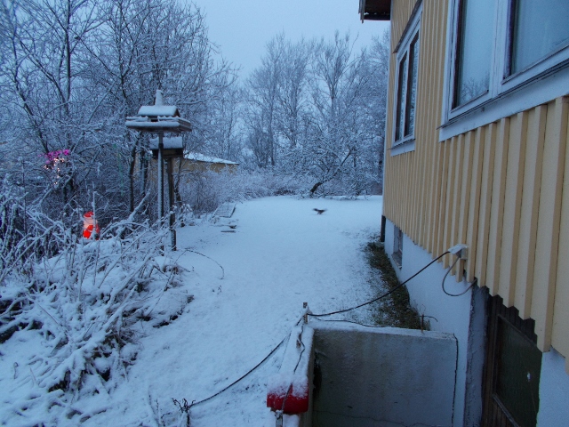 Snö 003 (640x480).jpg