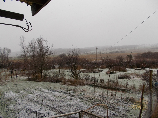 20150109 003 (640x480).jpg