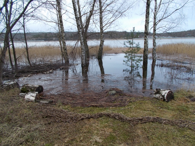 Stormen Egon 008 (640x480).jpg
