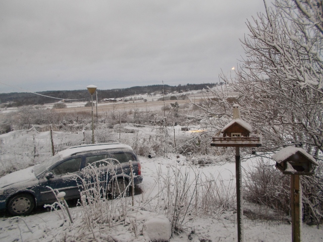 Snö 002 (640x480).jpg