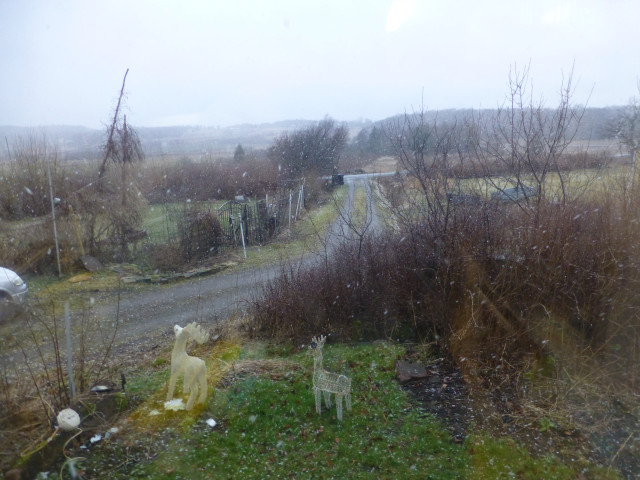 2AECCE79-6474-4A35-8340-760F5817A012.jpeg