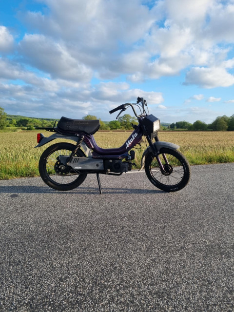 z7.jpg
