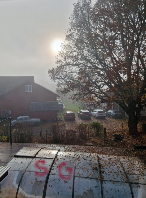 251026 SG vakna till 6c och Dimma delux .jpg