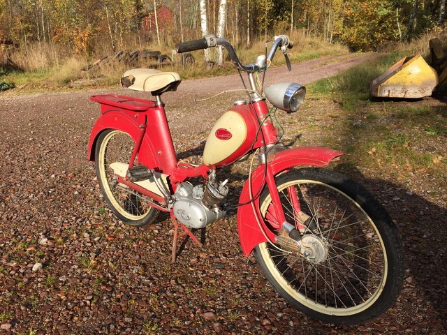 Bild 1.jpg