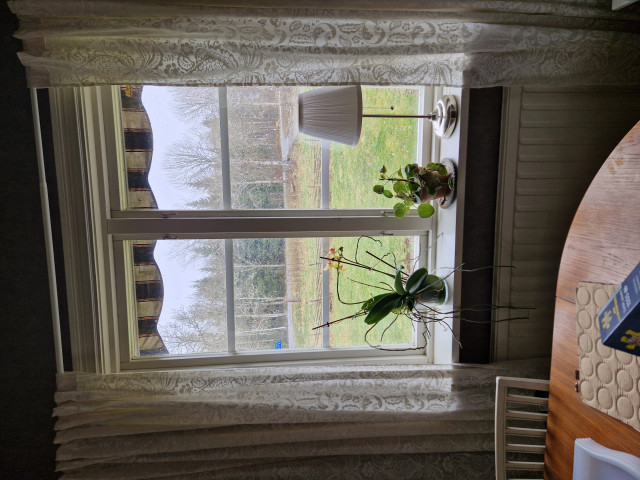 20260425_144226 SG har snöfall och 3c dvs ingte lad meck nu.jpg