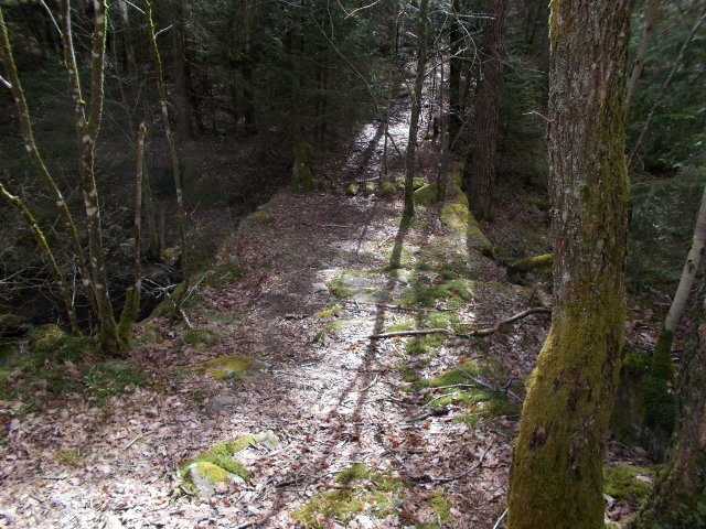 002 (640x480).jpg