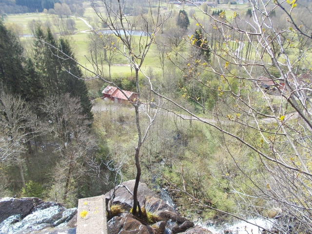 005 (640x480).jpg