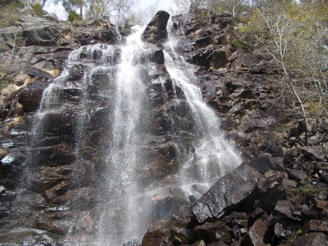 009 (640x480).jpg