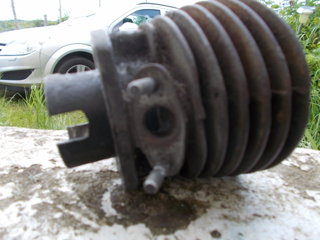 Juni 2015 017 (640x480).jpg