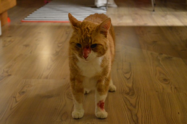 DSC_0751.JPG