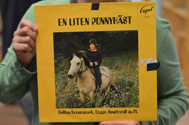 en liten ponnyhäst