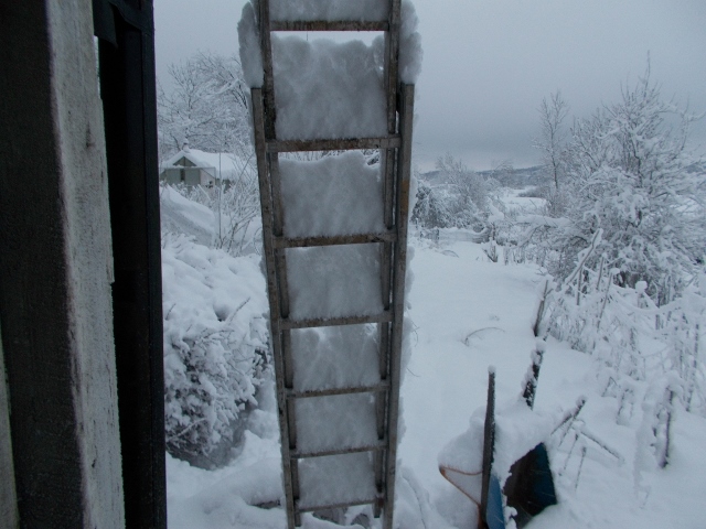 Snö 190116 001 (640x480).jpg