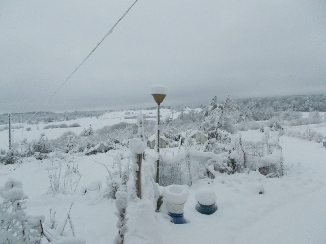 Snö 190116 004 (640x480).jpg