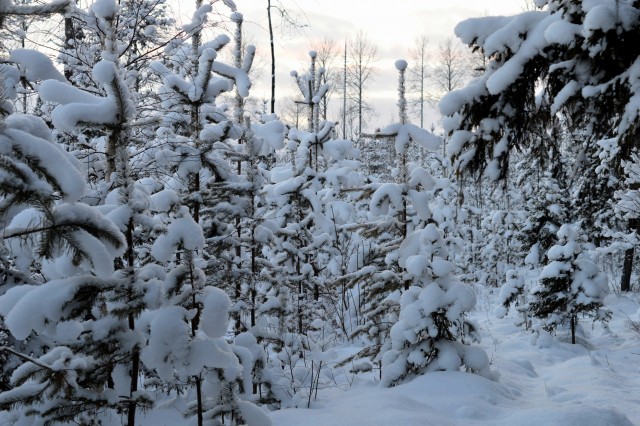 DSC_0895.JPG