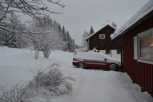 DSC_0035.JPG