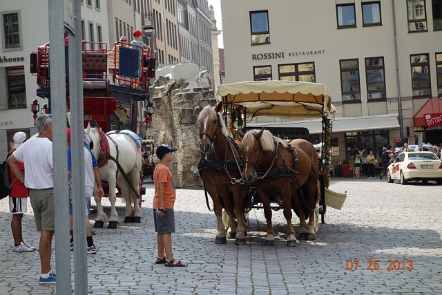 DSC01580.JPG