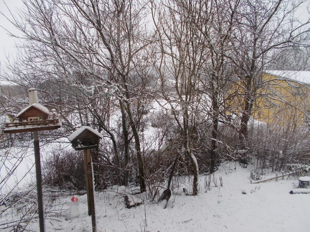 0603 001 (640x480).jpg