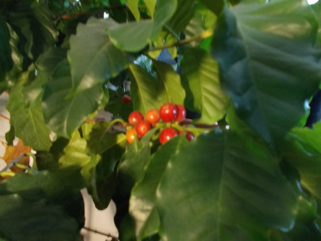 0603 002 (640x480).jpg